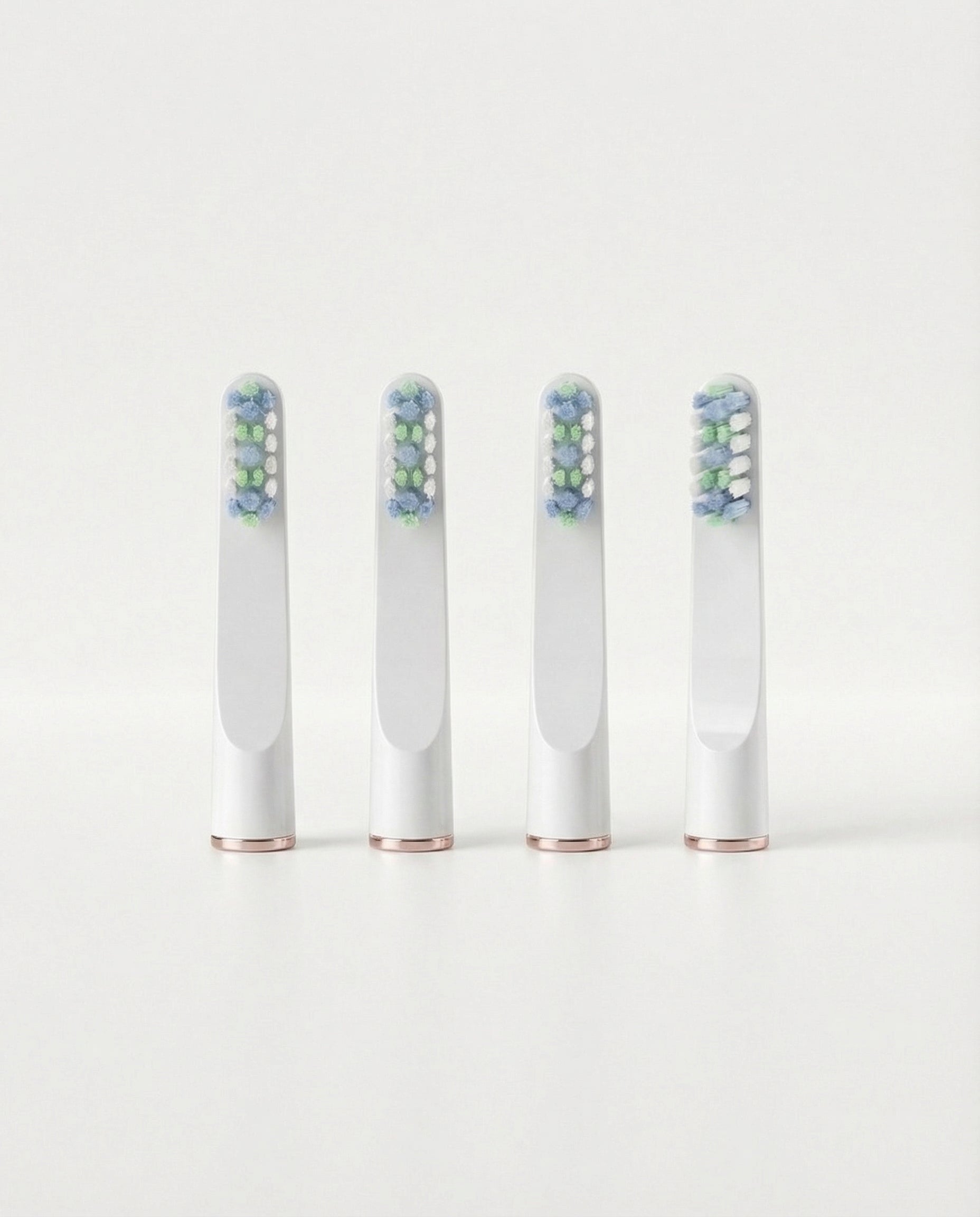 4 Têtes de brosse (1 an)